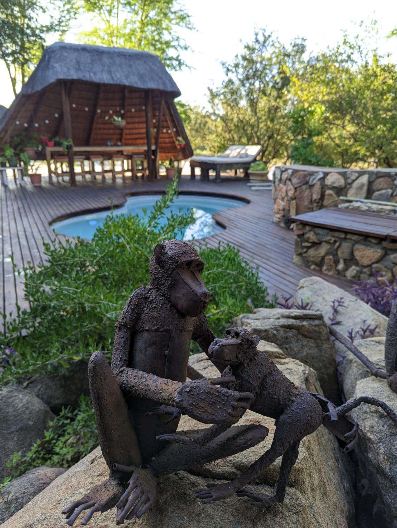 Hasekamp Family Bush Lodge Hoedspruit Extérieur photo