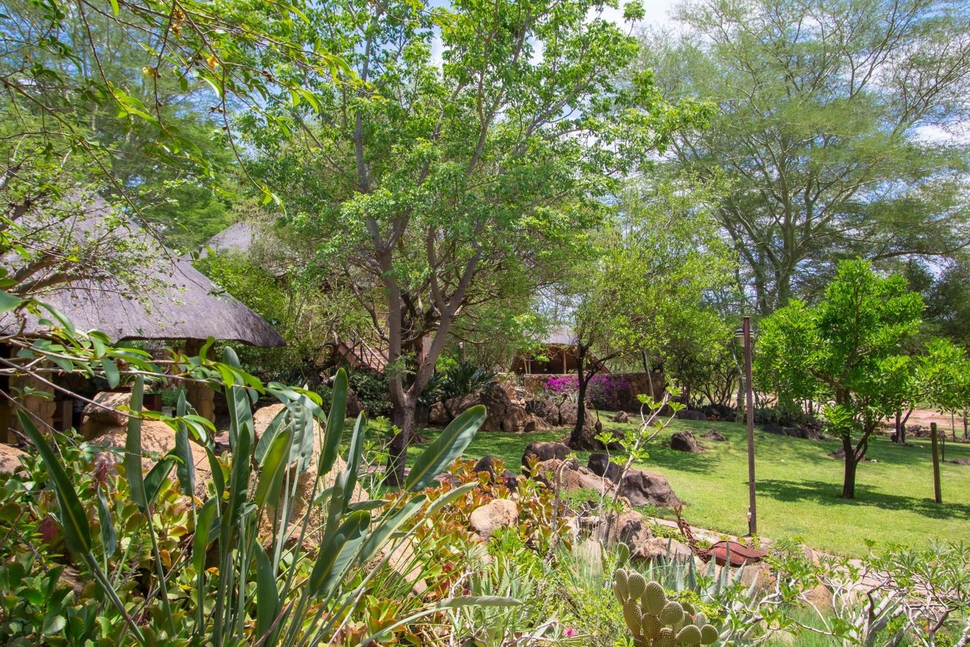 Hasekamp Family Bush Lodge Hoedspruit Extérieur photo