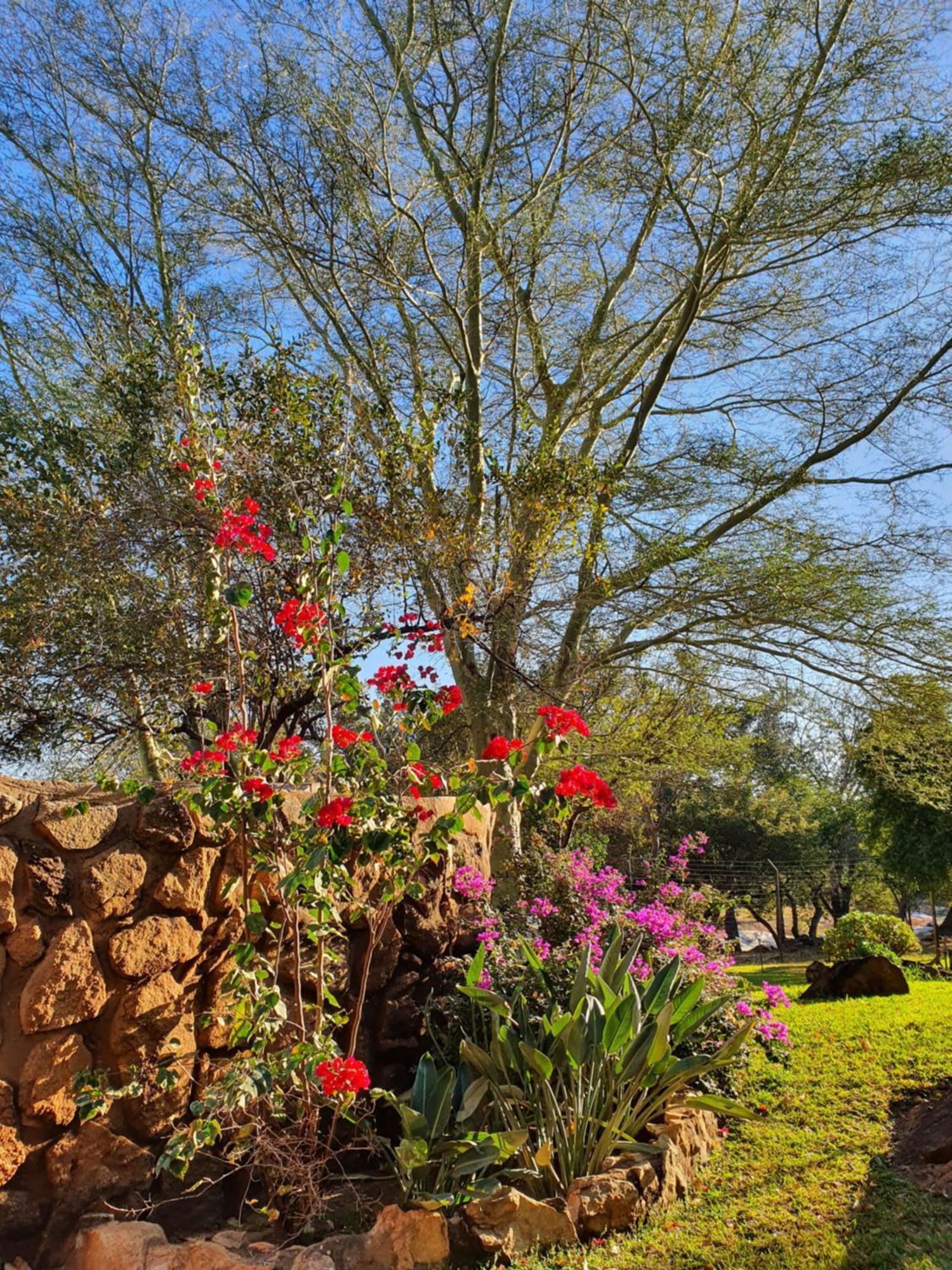 Hasekamp Family Bush Lodge Hoedspruit Extérieur photo