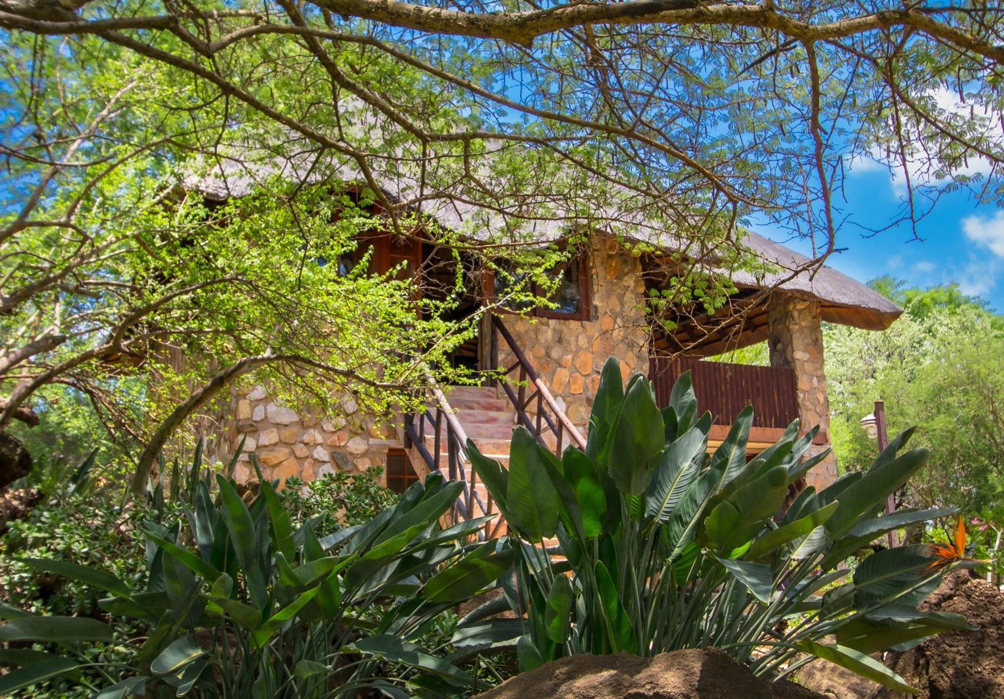 Hasekamp Family Bush Lodge Hoedspruit Extérieur photo