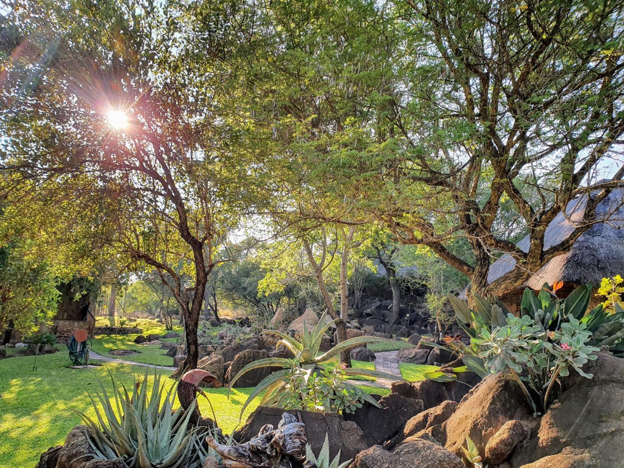 Hasekamp Family Bush Lodge Hoedspruit Extérieur photo