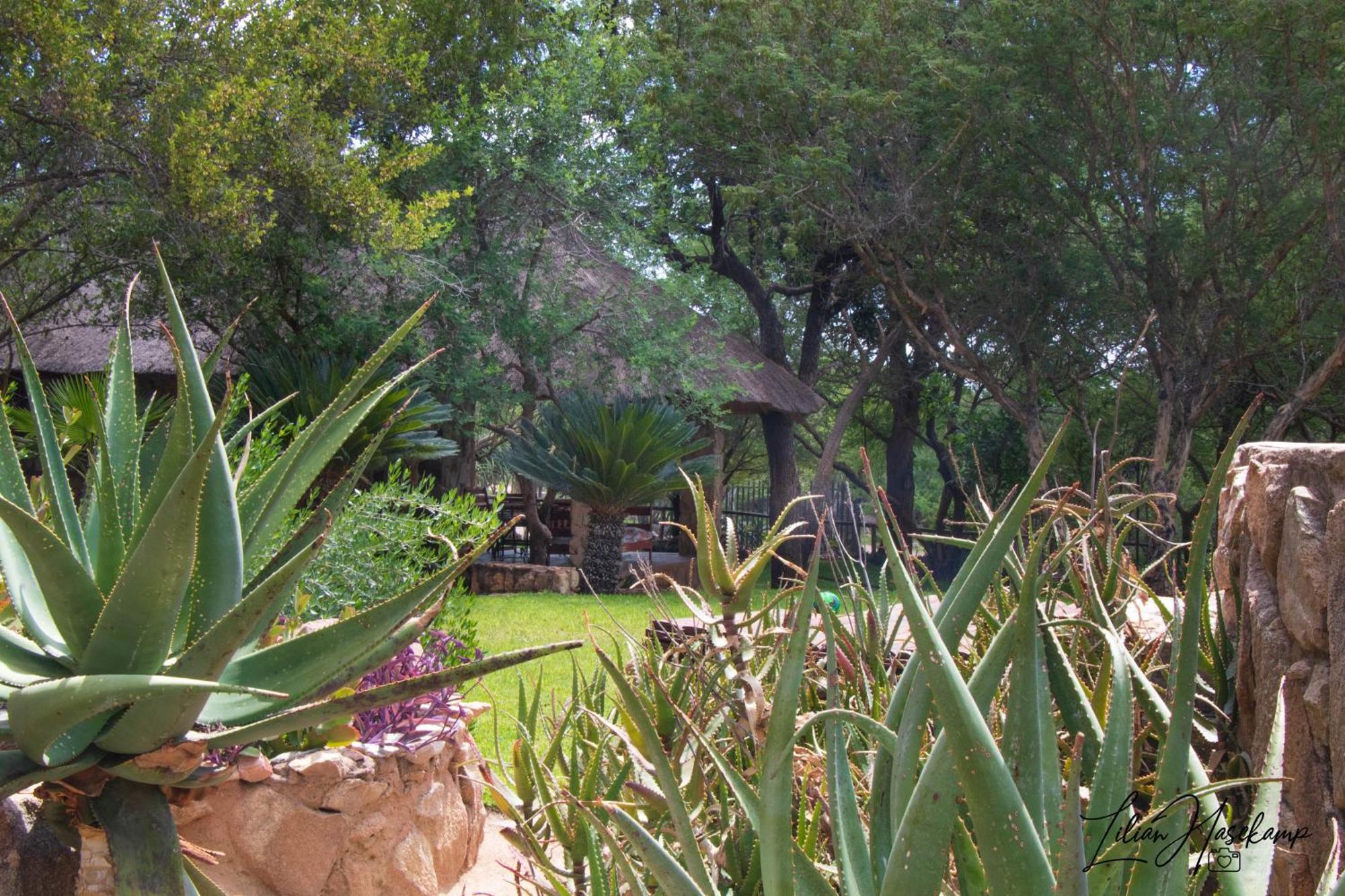 Hasekamp Family Bush Lodge Hoedspruit Extérieur photo