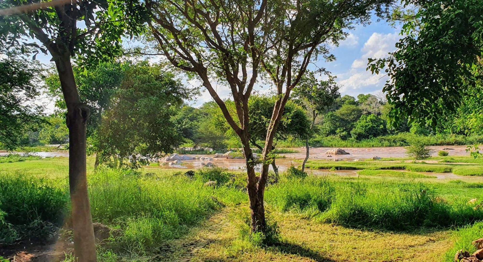 Hasekamp Family Bush Lodge Hoedspruit Extérieur photo