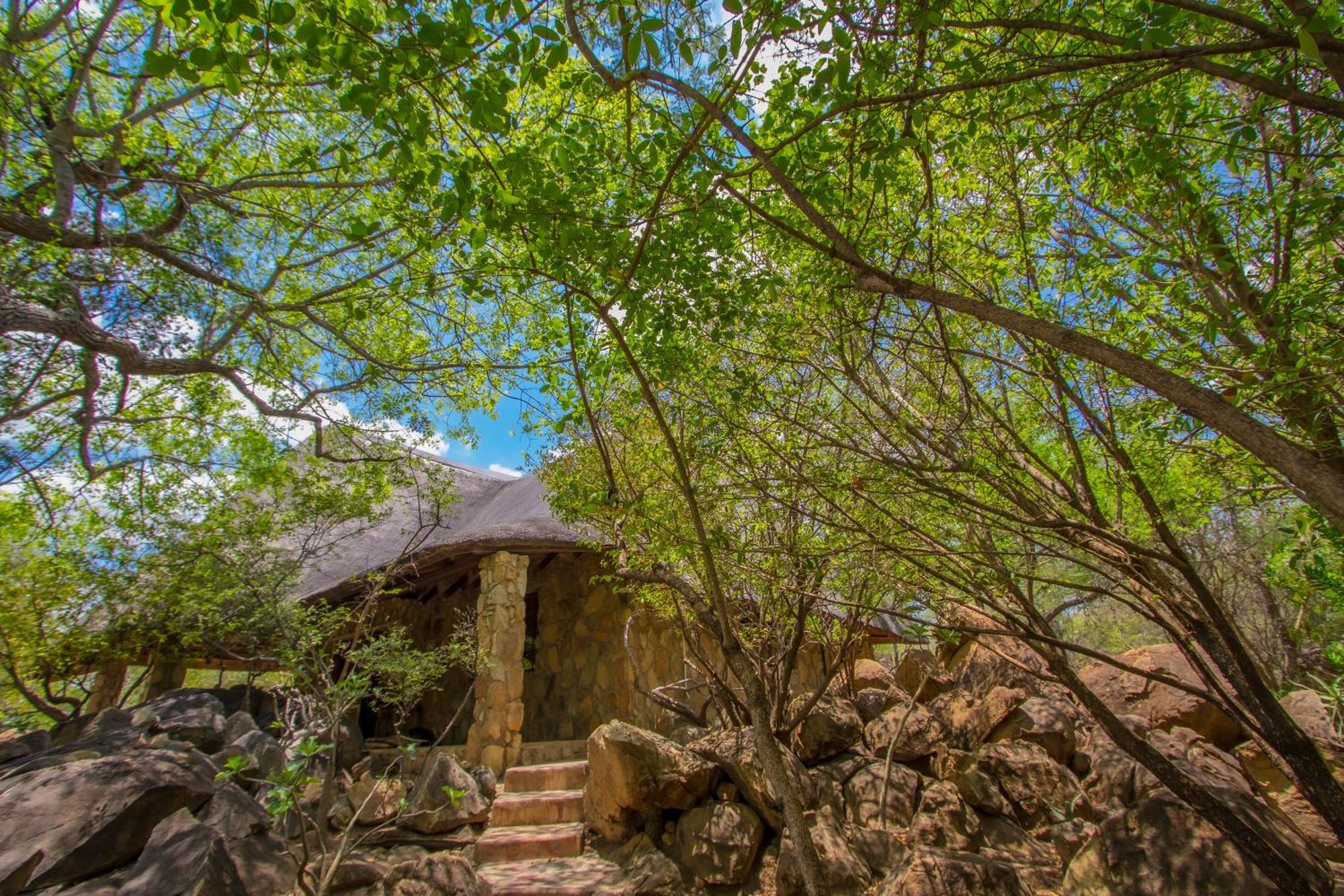 Hasekamp Family Bush Lodge Hoedspruit Extérieur photo